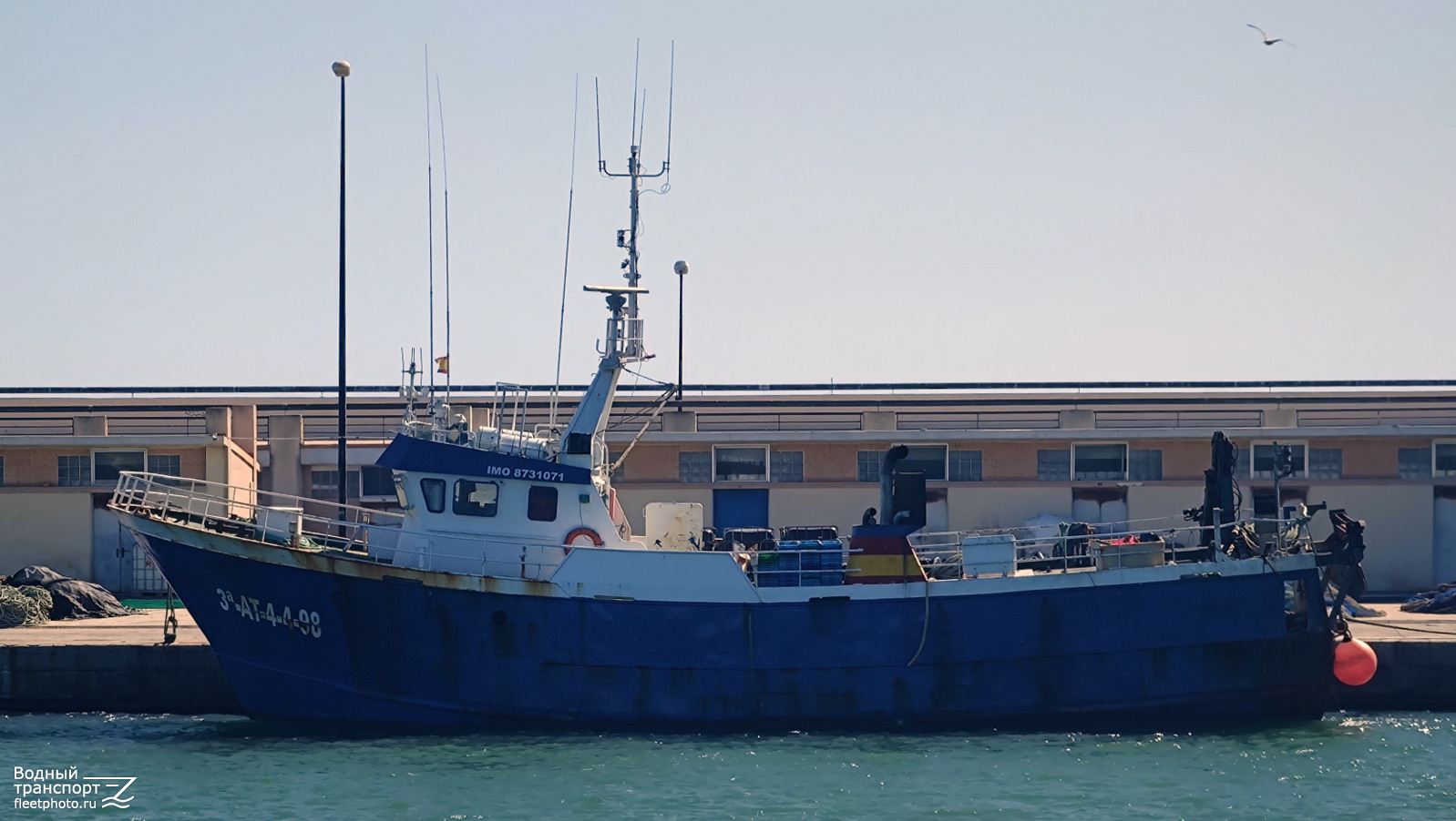 Punta Aljibe