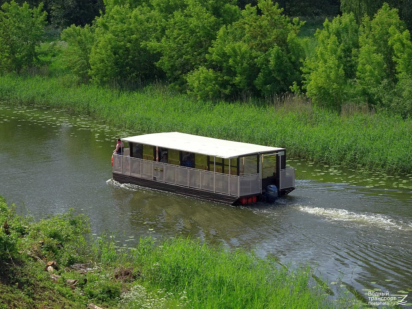 Колибри
