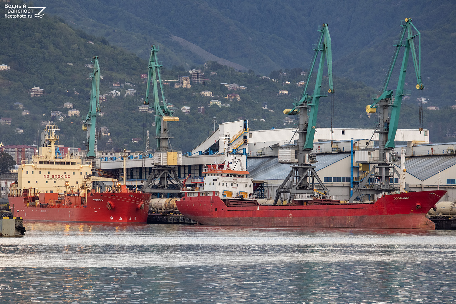 Portola, Doganbey
