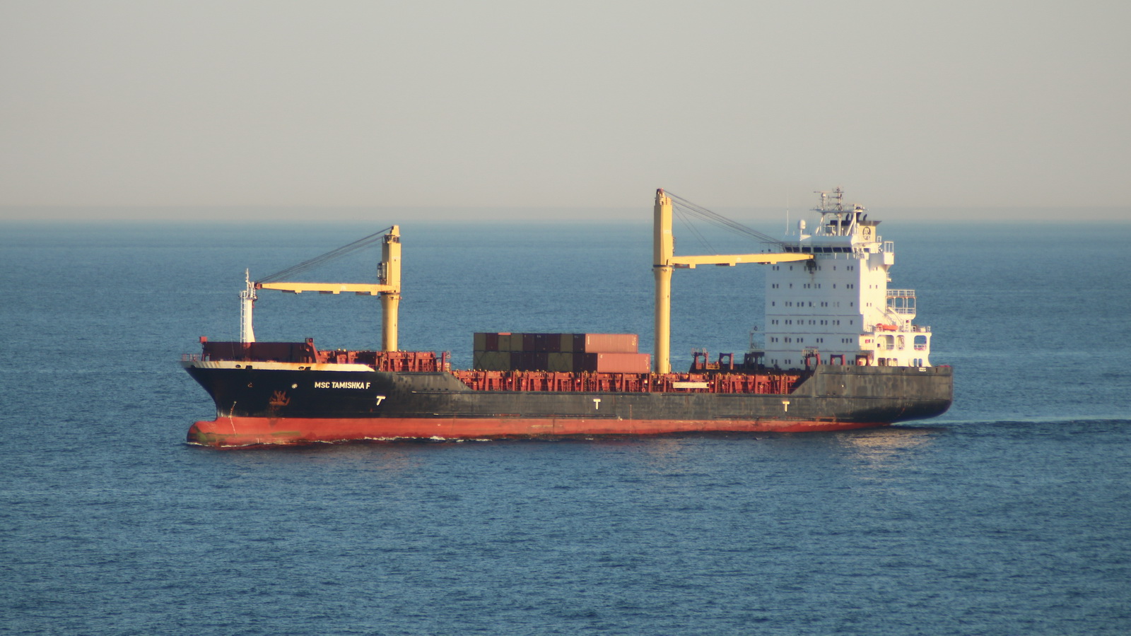 MSC Tamishka F