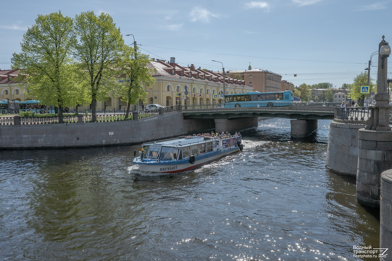 Бегемот