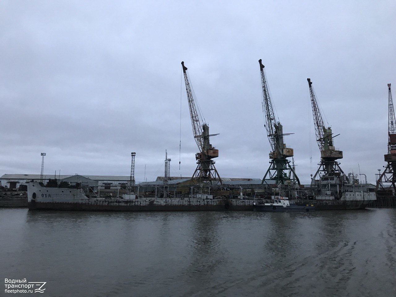 Оха, Самородок