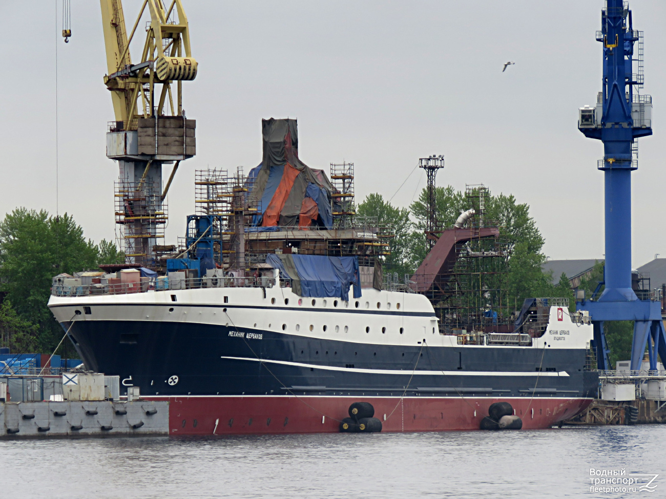 Механик Щербаков