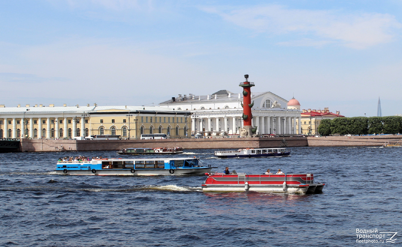 Цесаревич, Каракатица 8