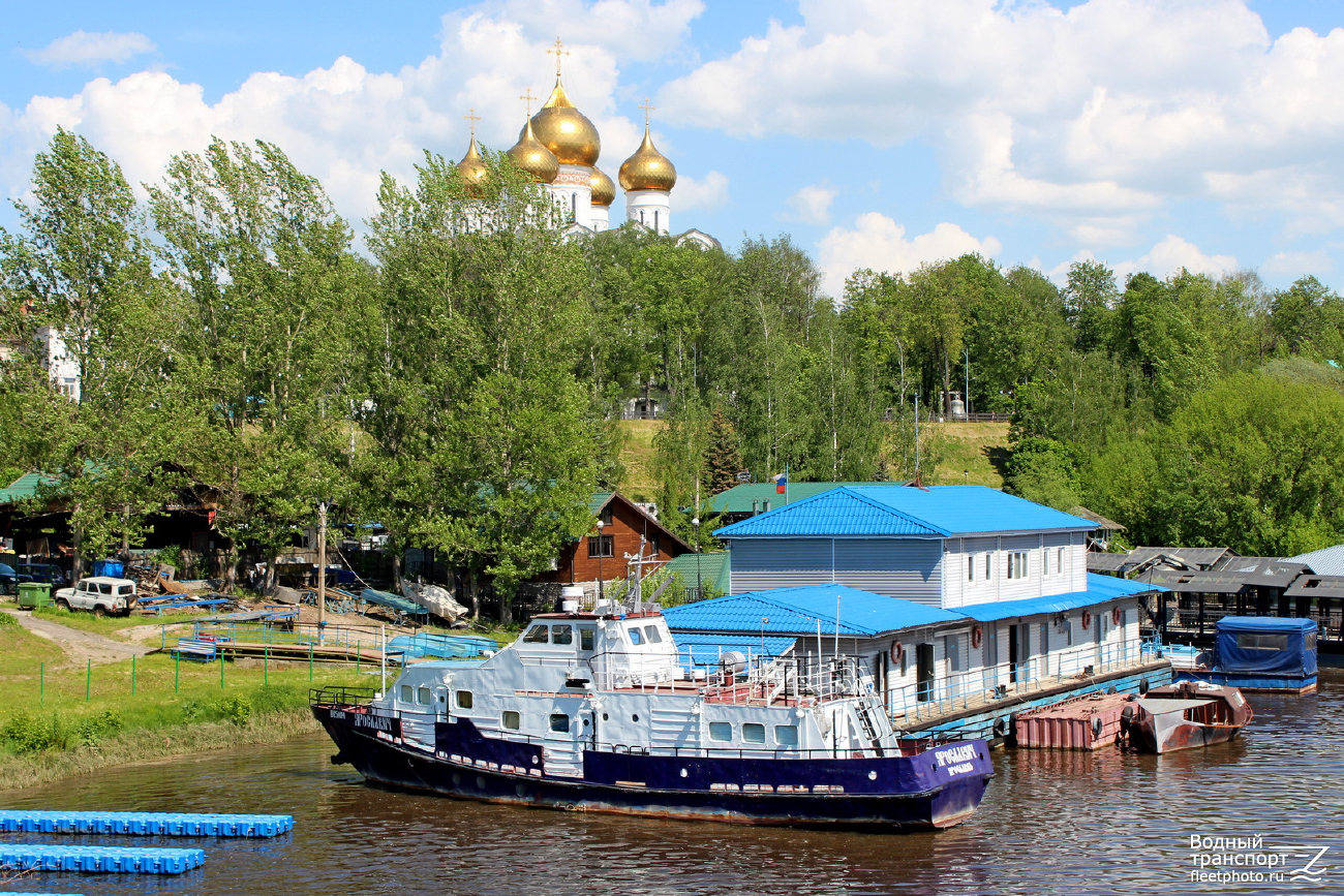 Ярославич