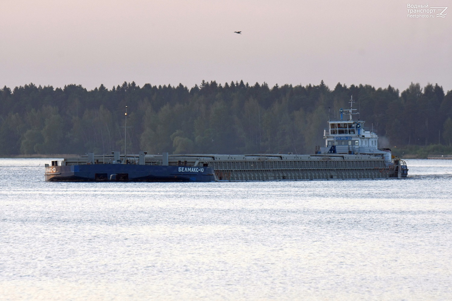 Белмакс 10, Волгарь-33