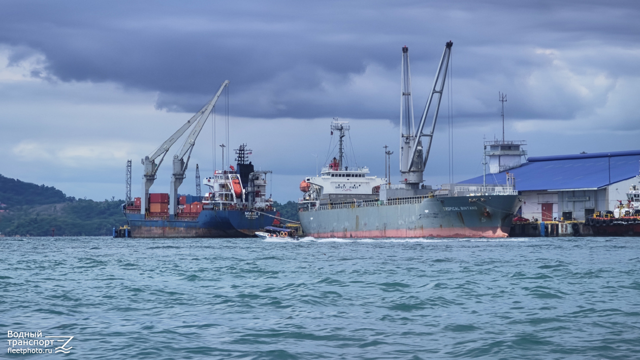 Mare I, Tropical Bintang