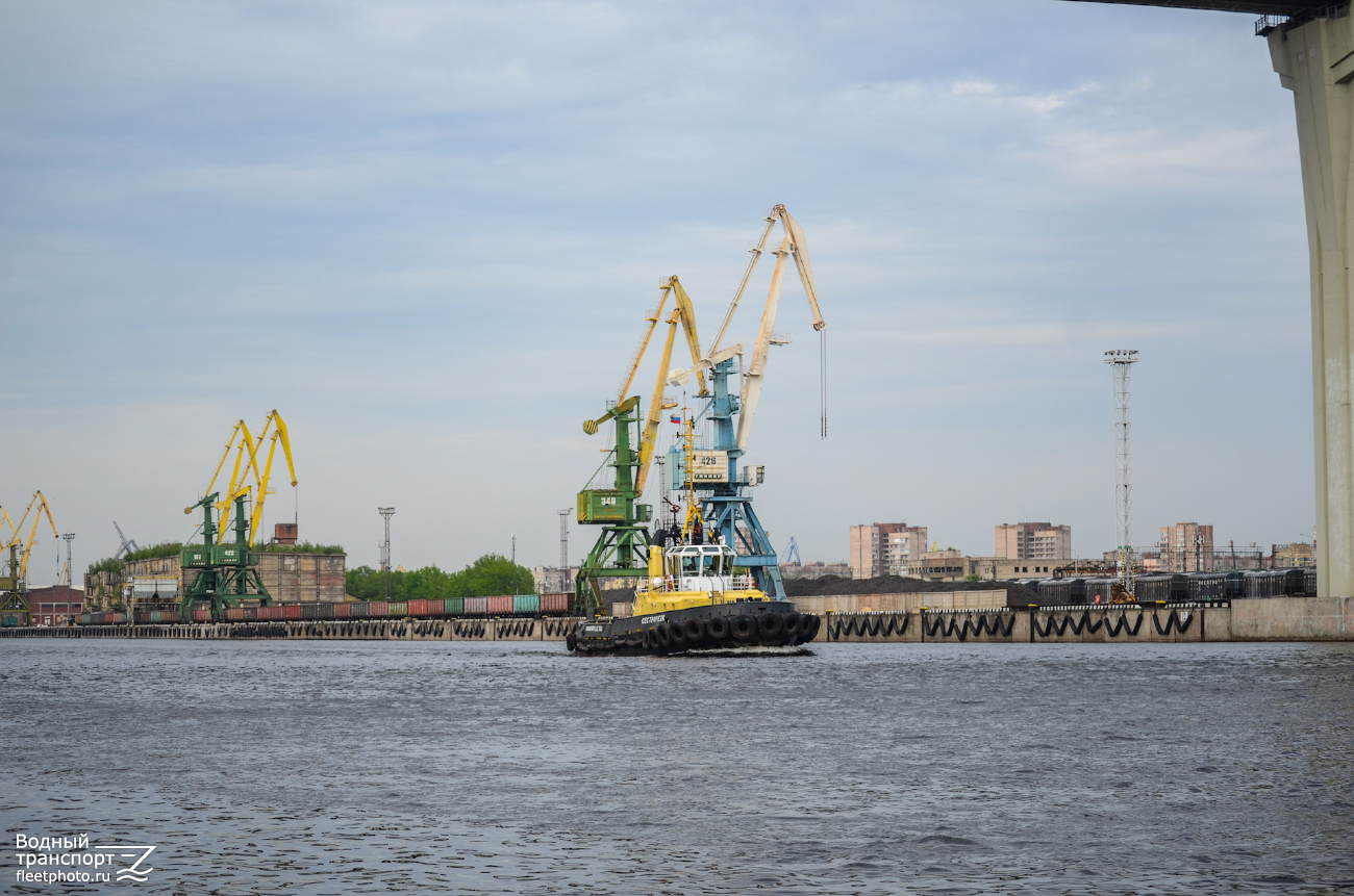 Сестрорецк