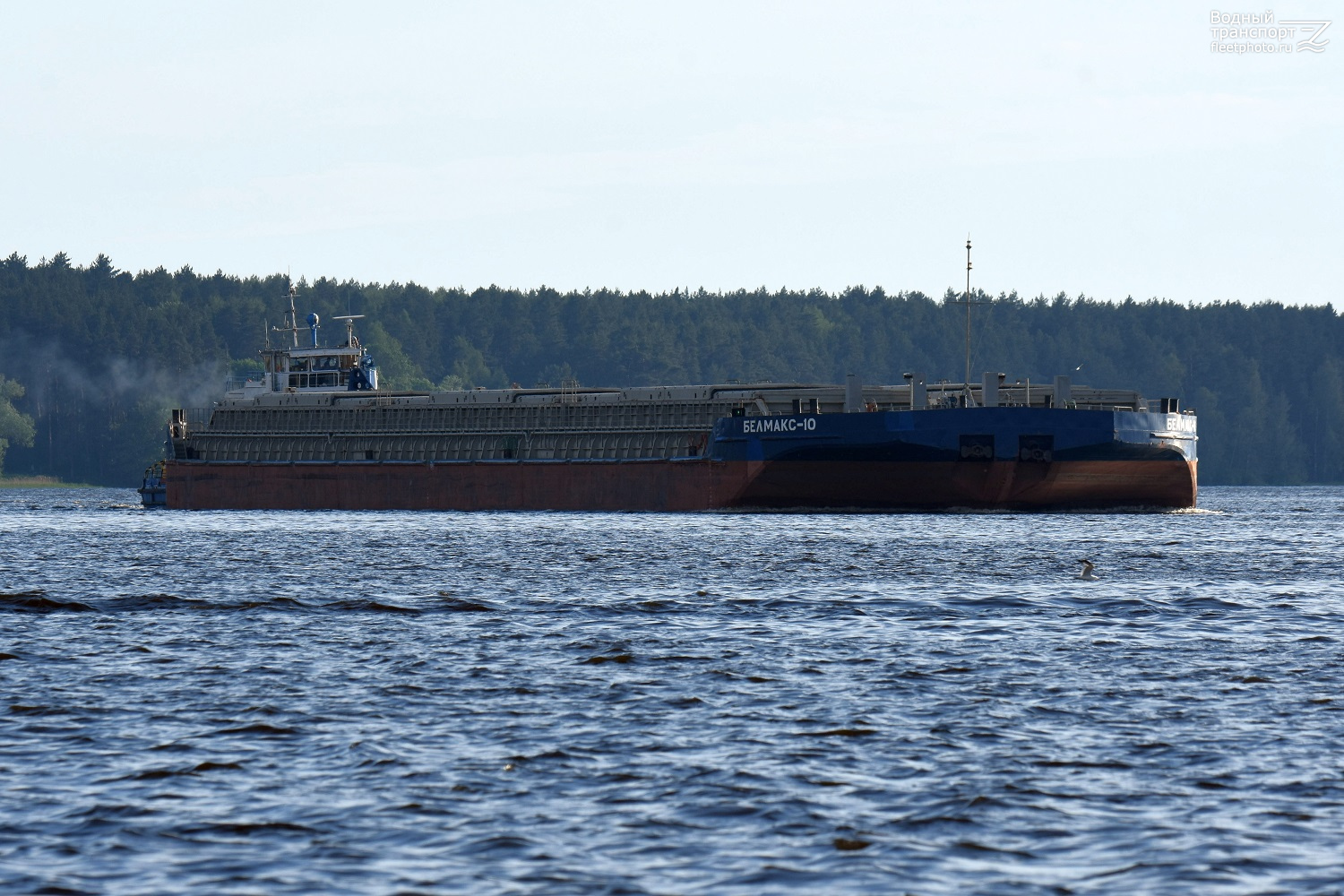 Волгарь-33, Белмакс 10