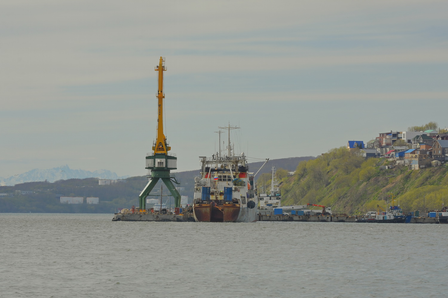 Бакланово, Казакевичи, Пеленгас
