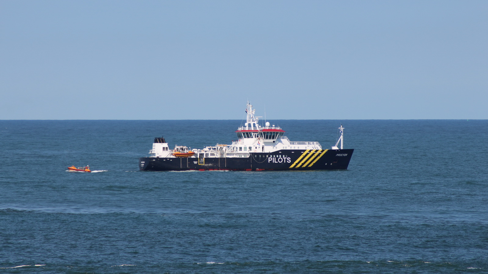 Procyon