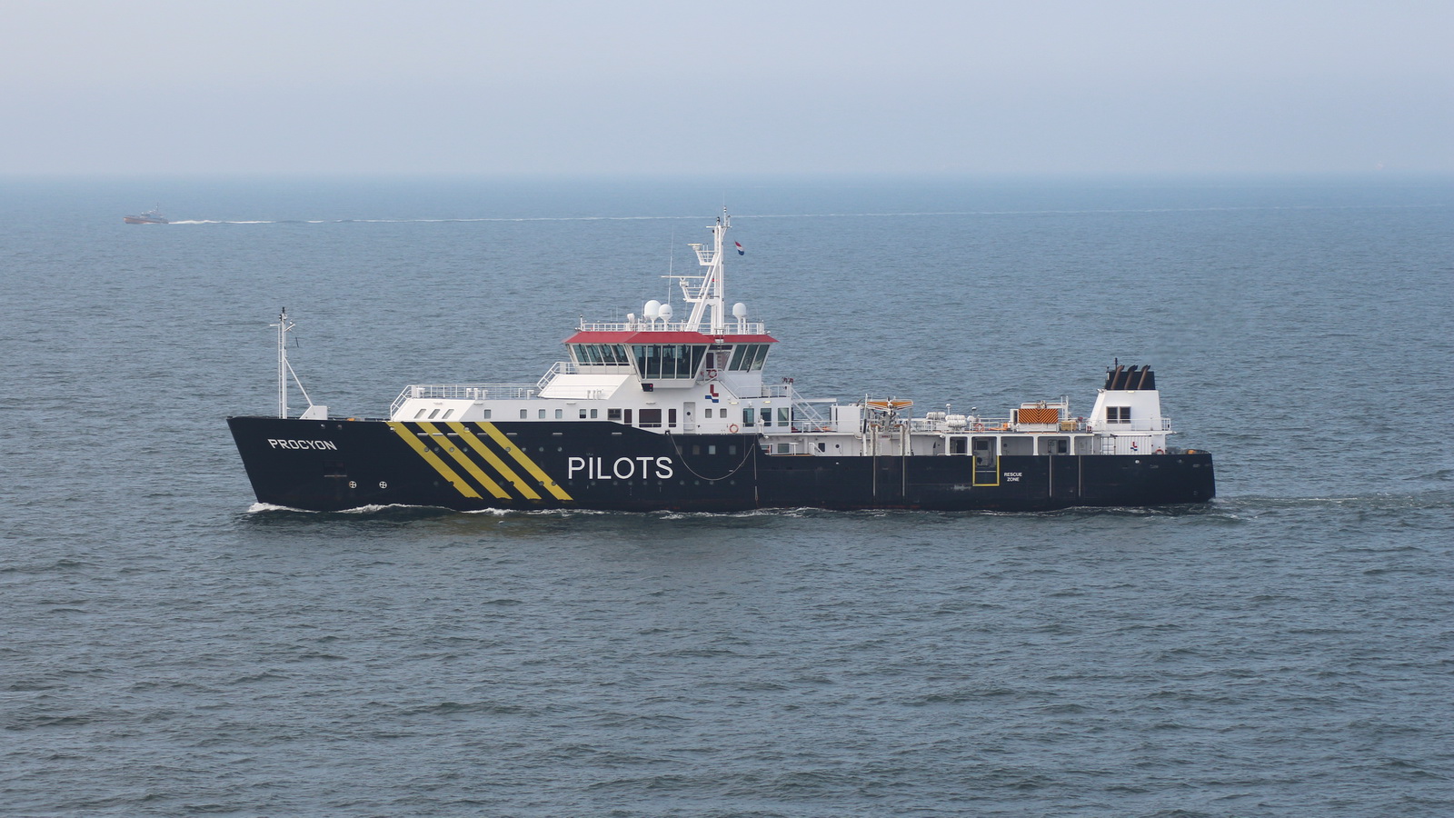 Procyon