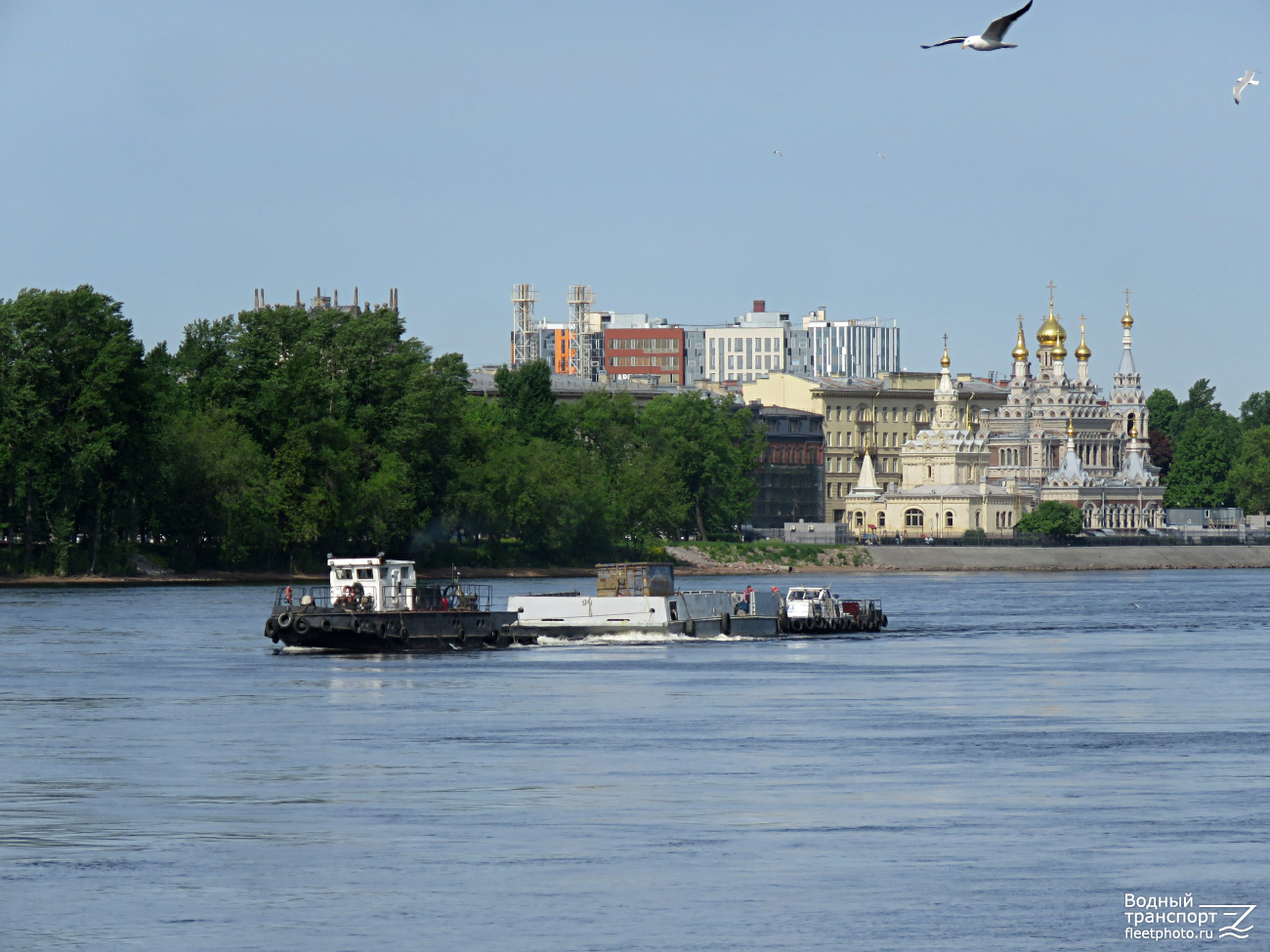 Аракс