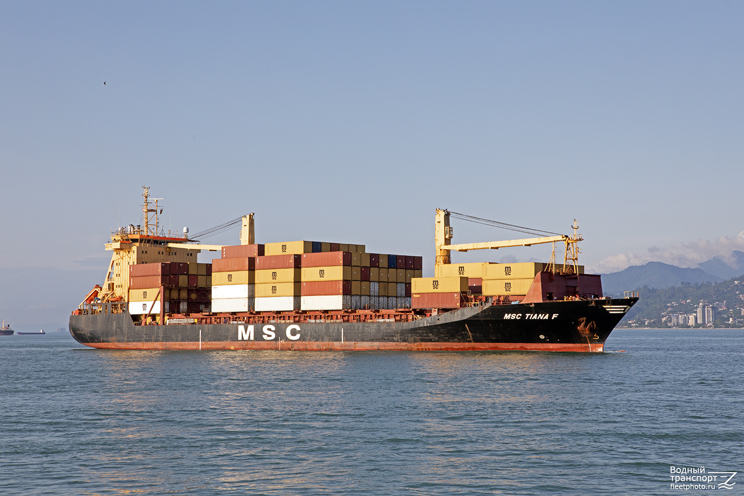 MSC Tiana F