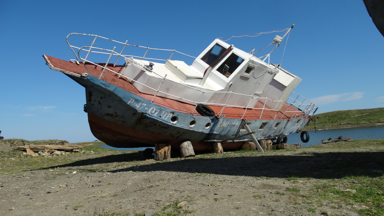 Хонгор
