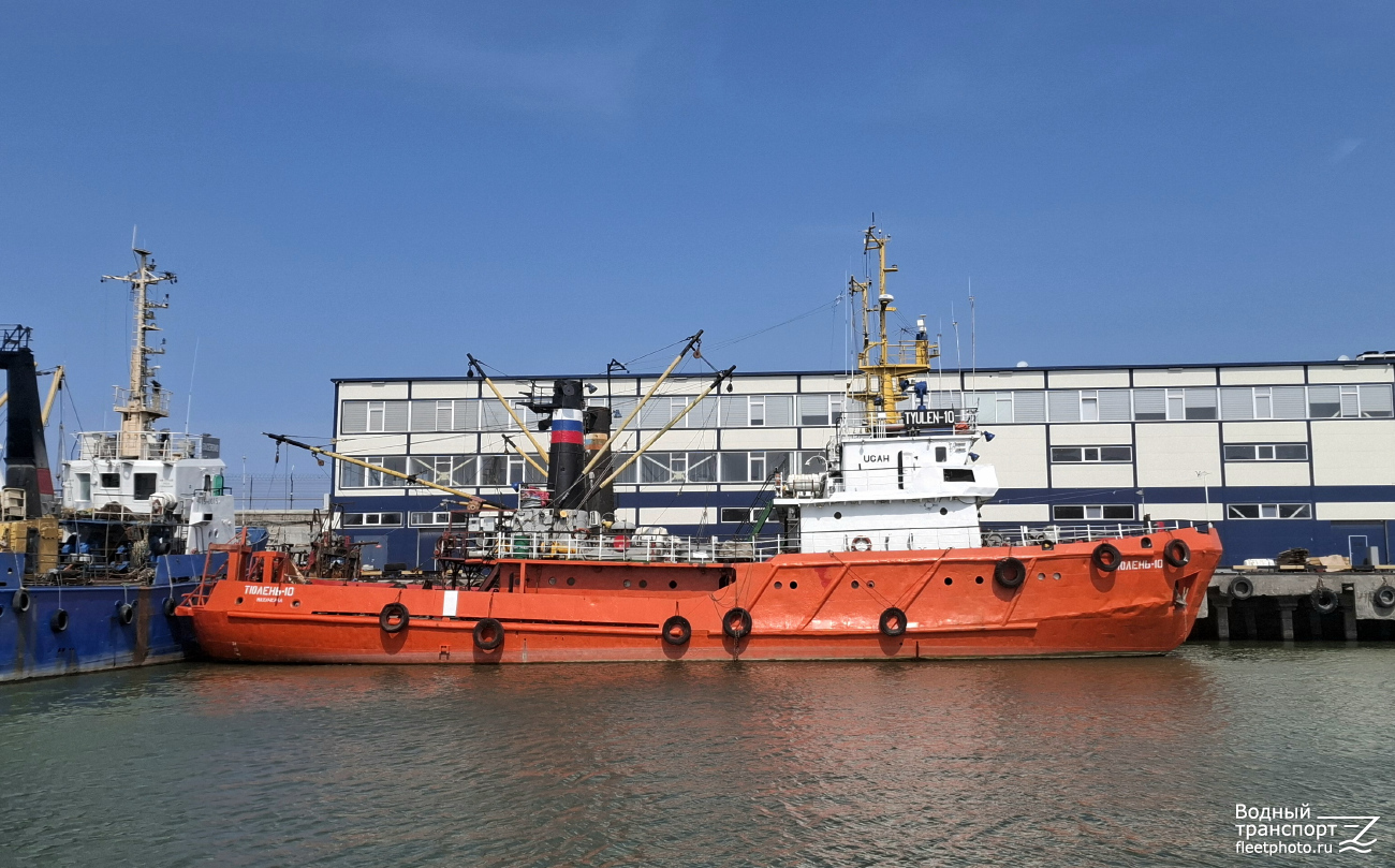 Тюлень-10