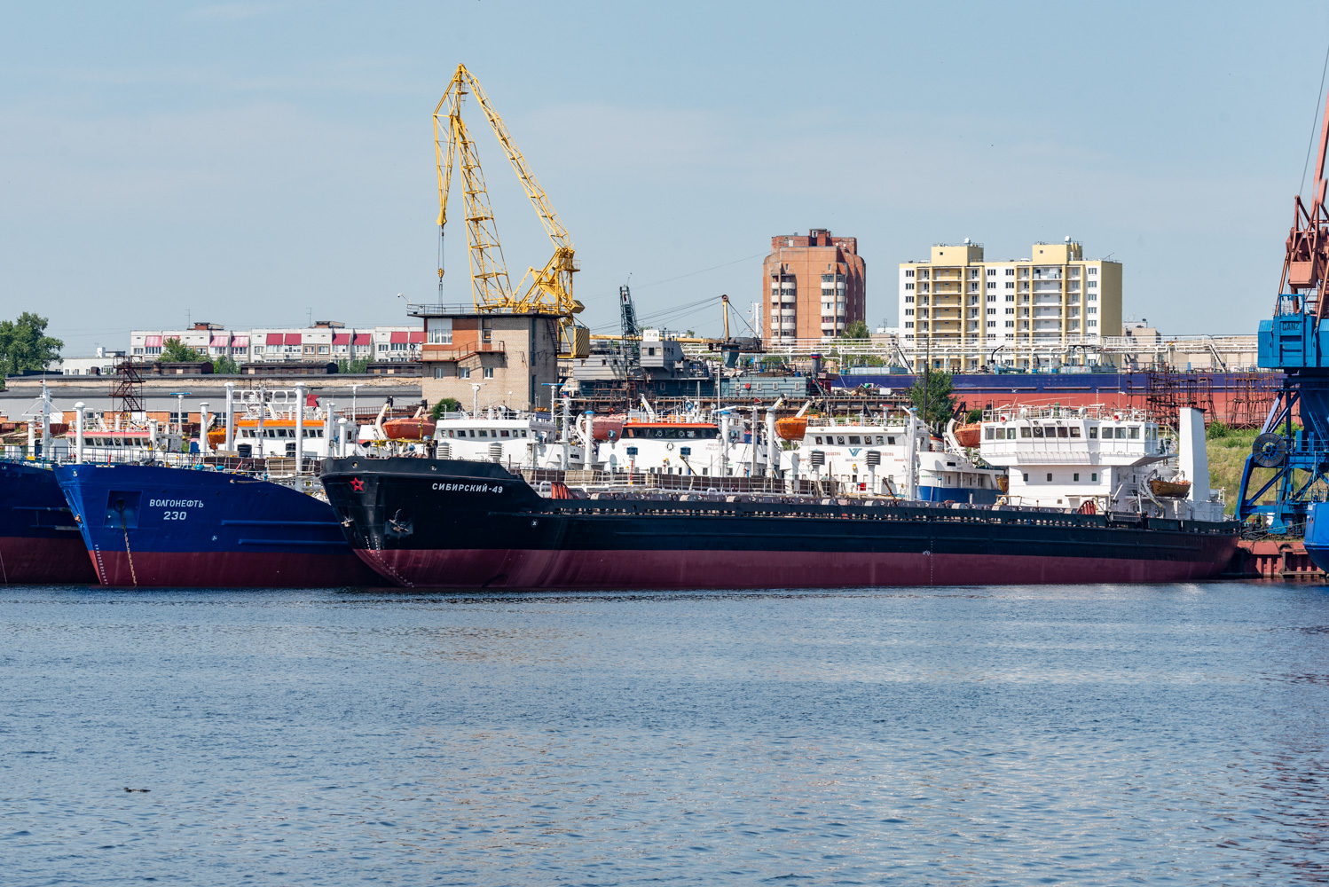 Сибирский-49