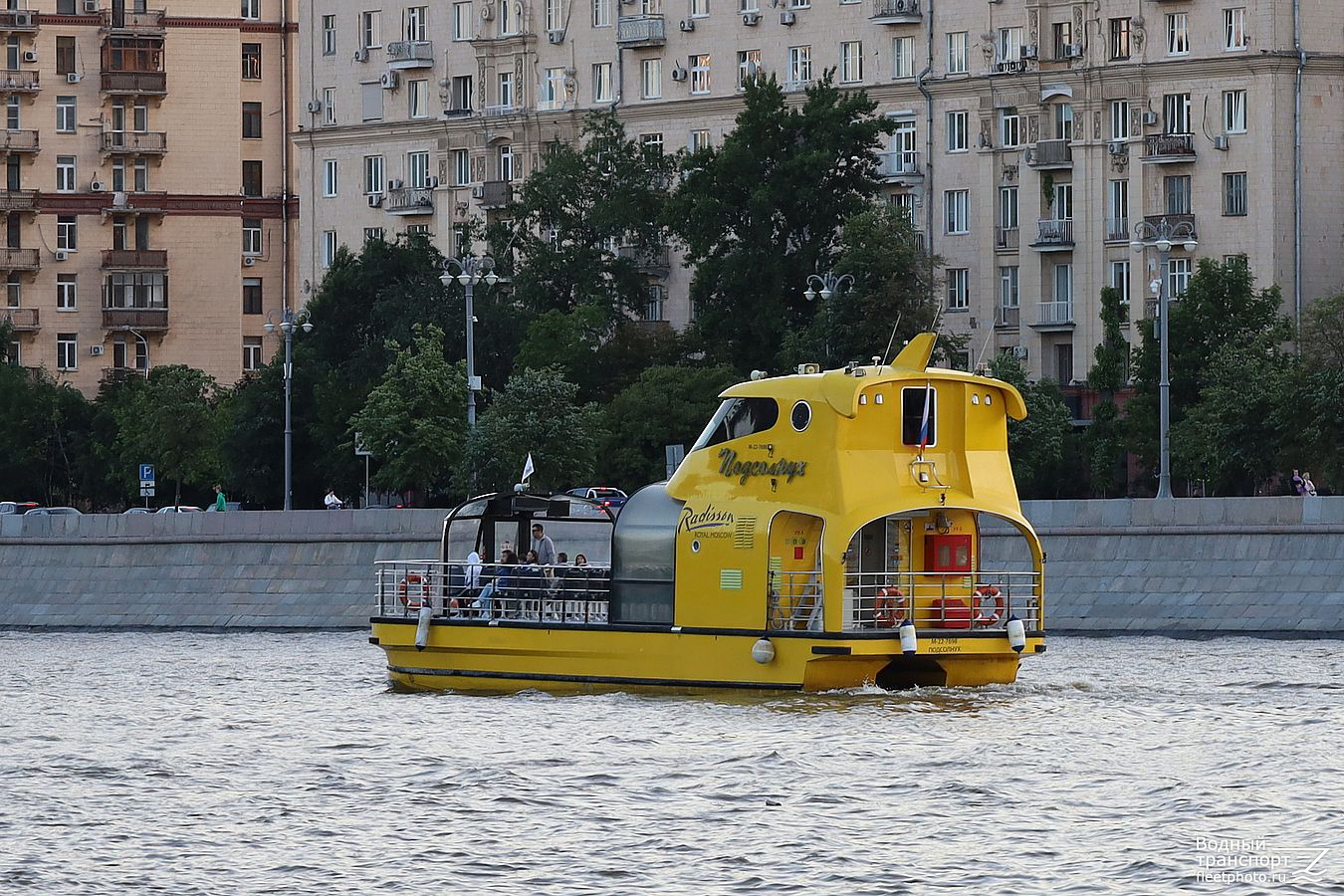 Подсолнух
