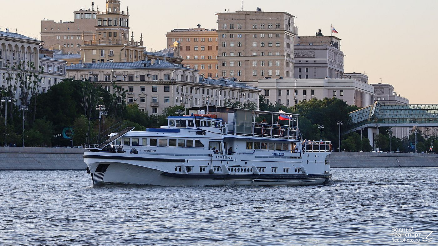 Роза Ветров