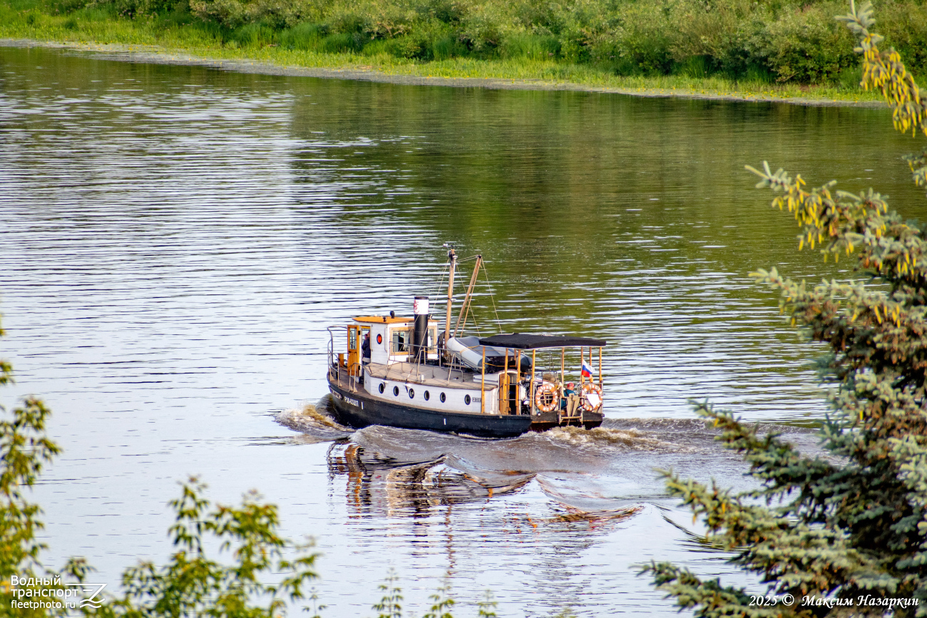 Историк Морозов