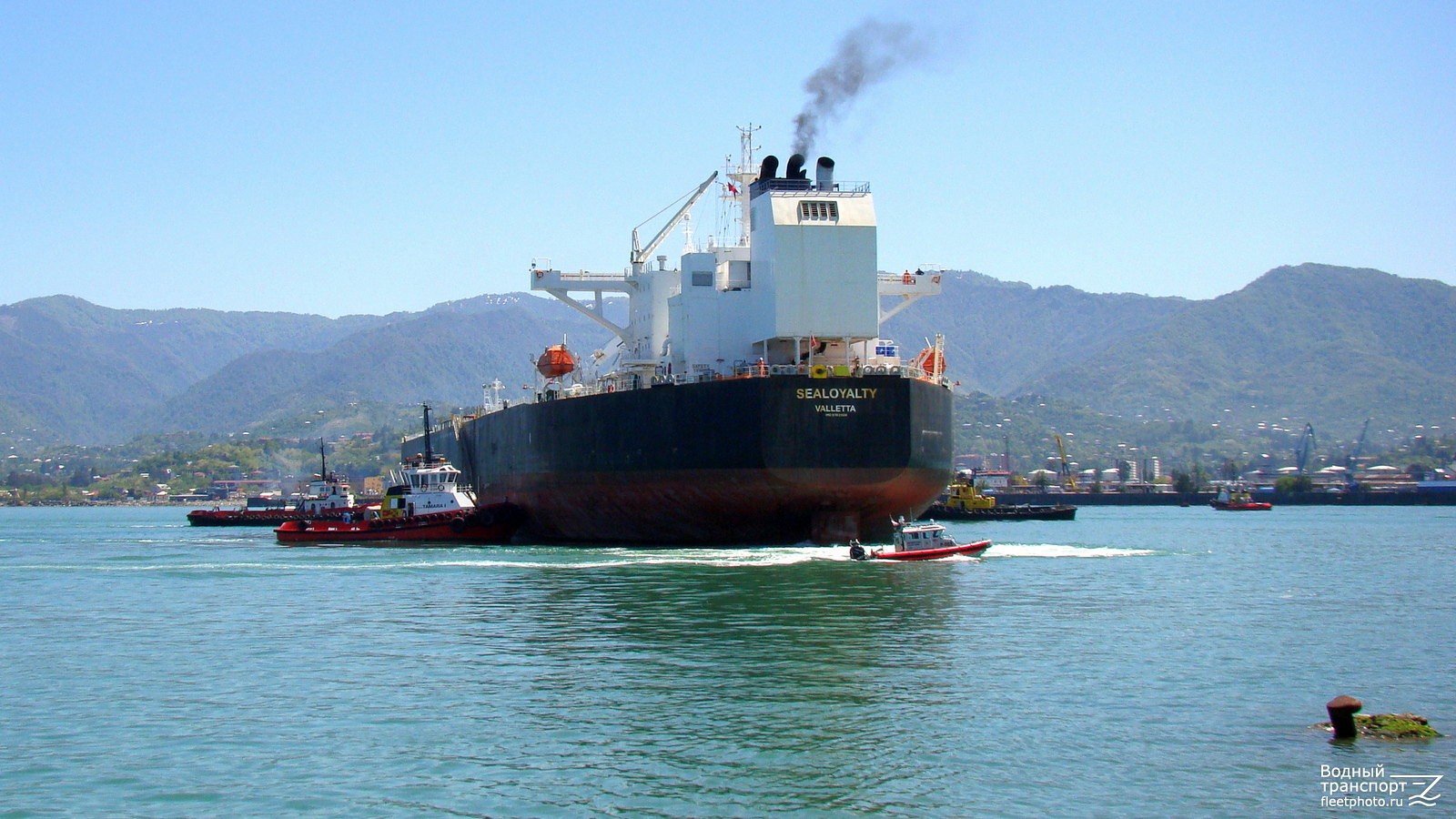 Tamara I, Sealoyalty, Defender