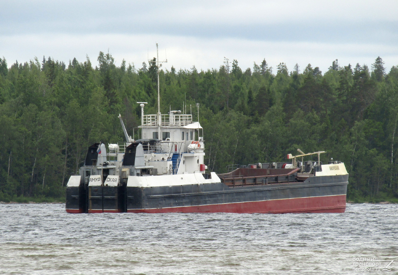 Амурская