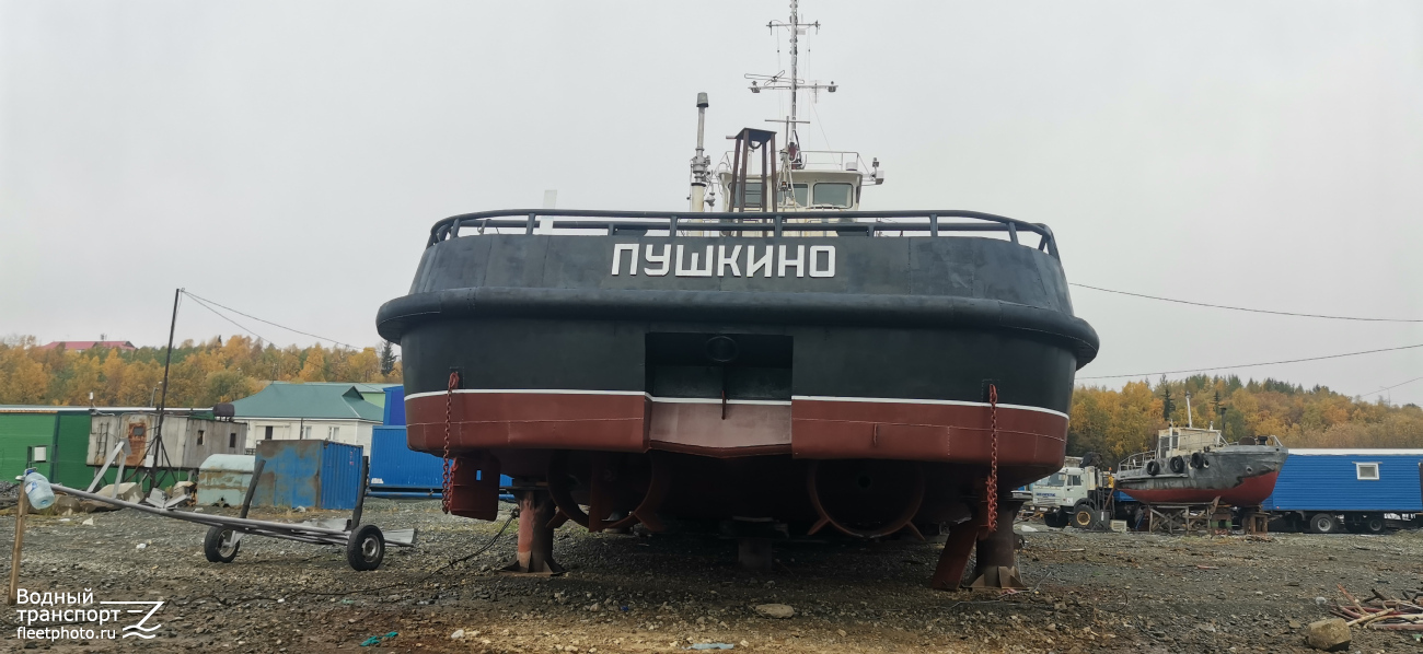 Пушкино