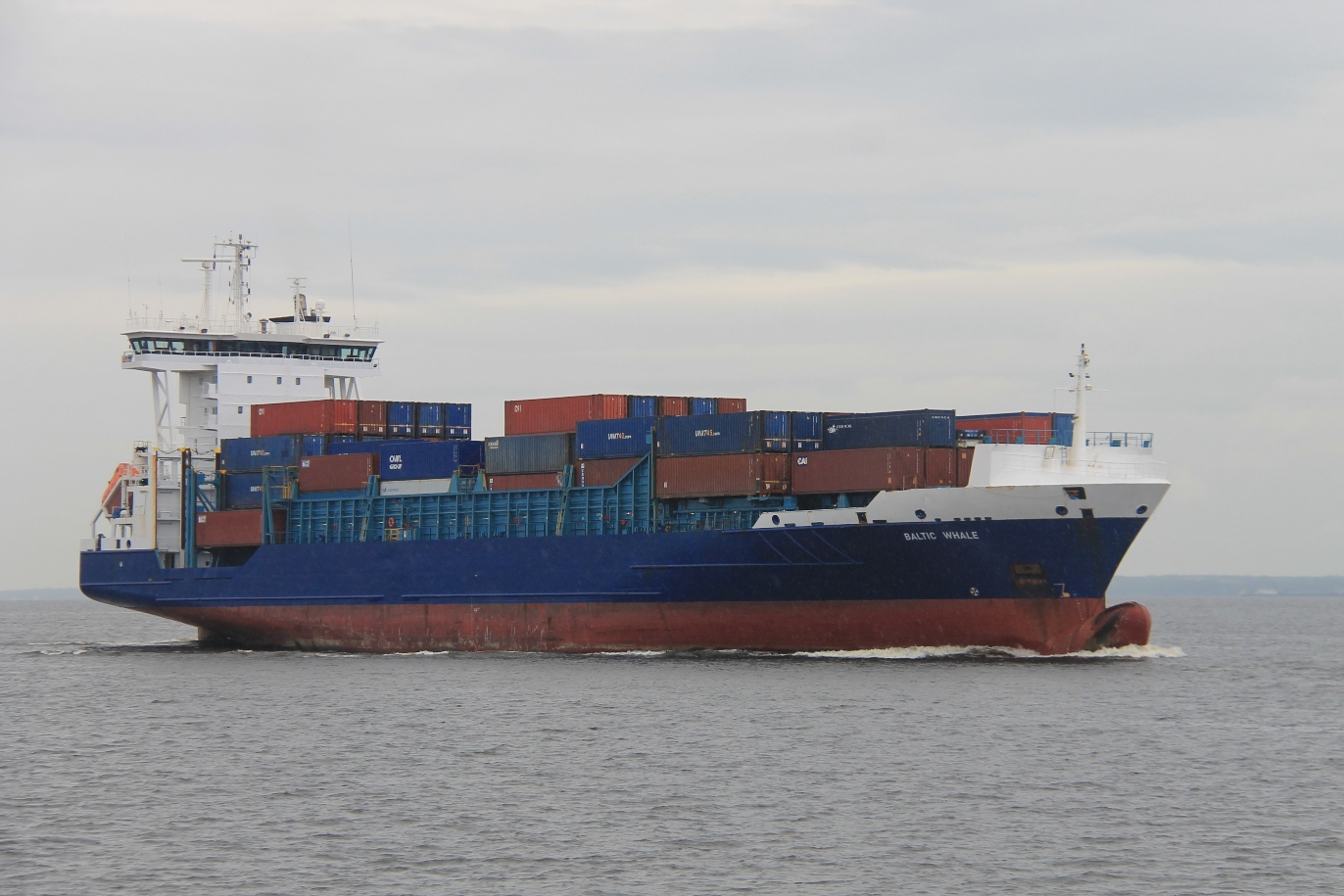Baltic Whale