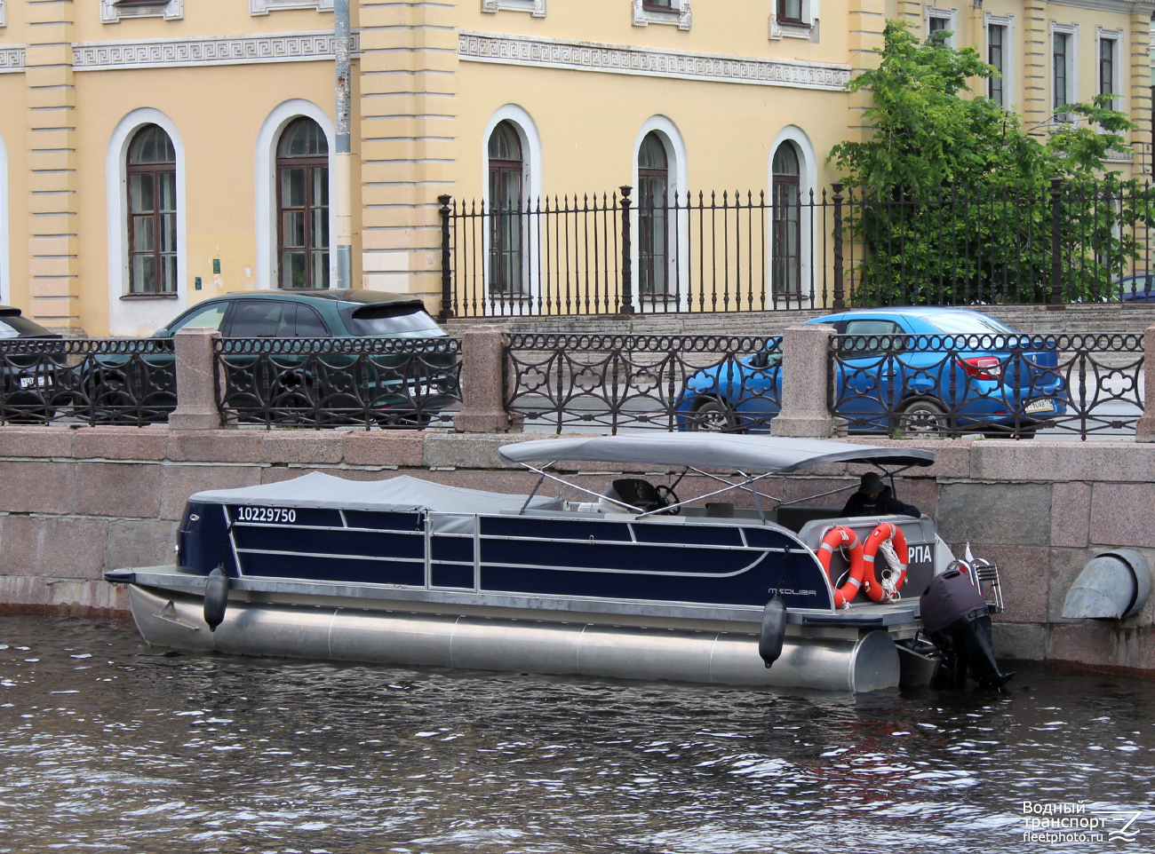 Нерпа
