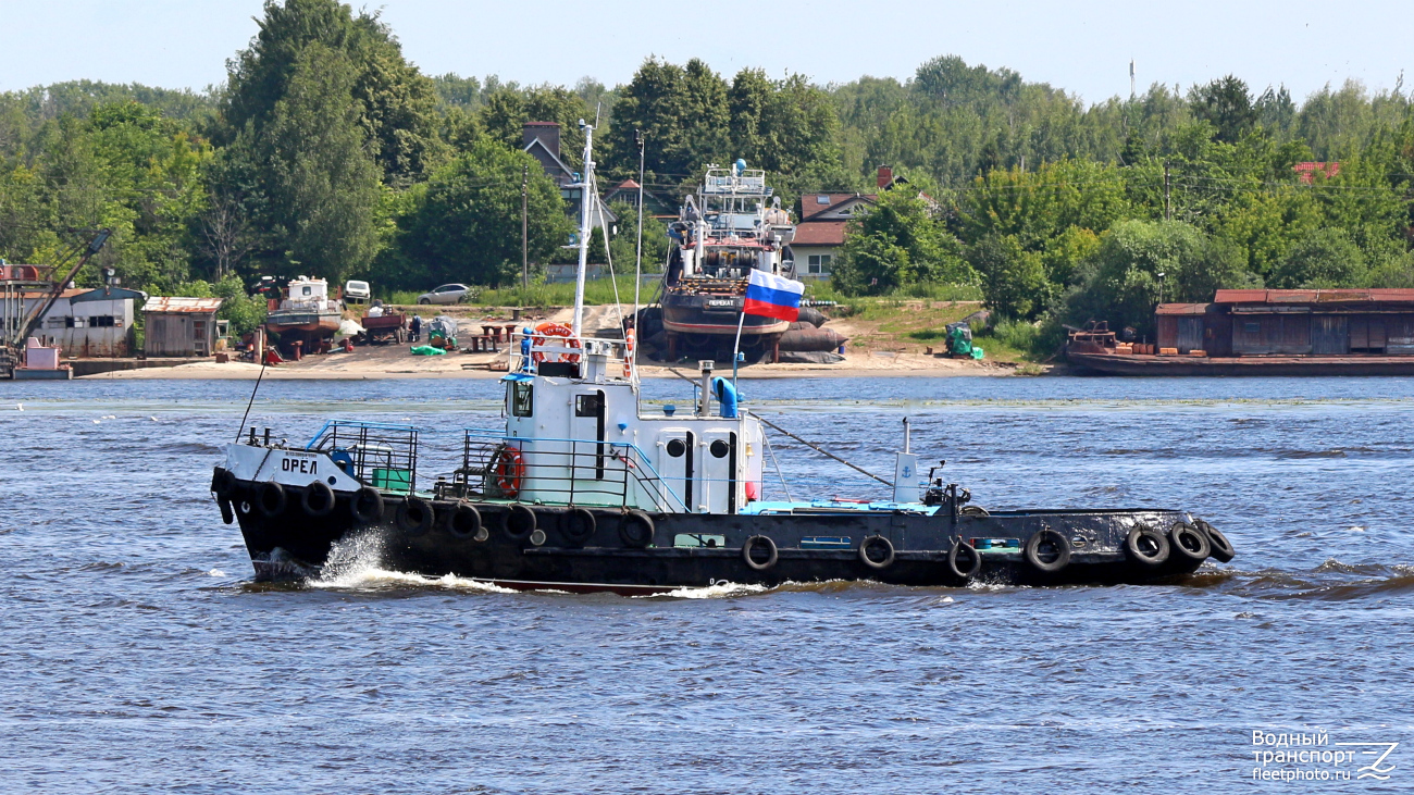 Орёл