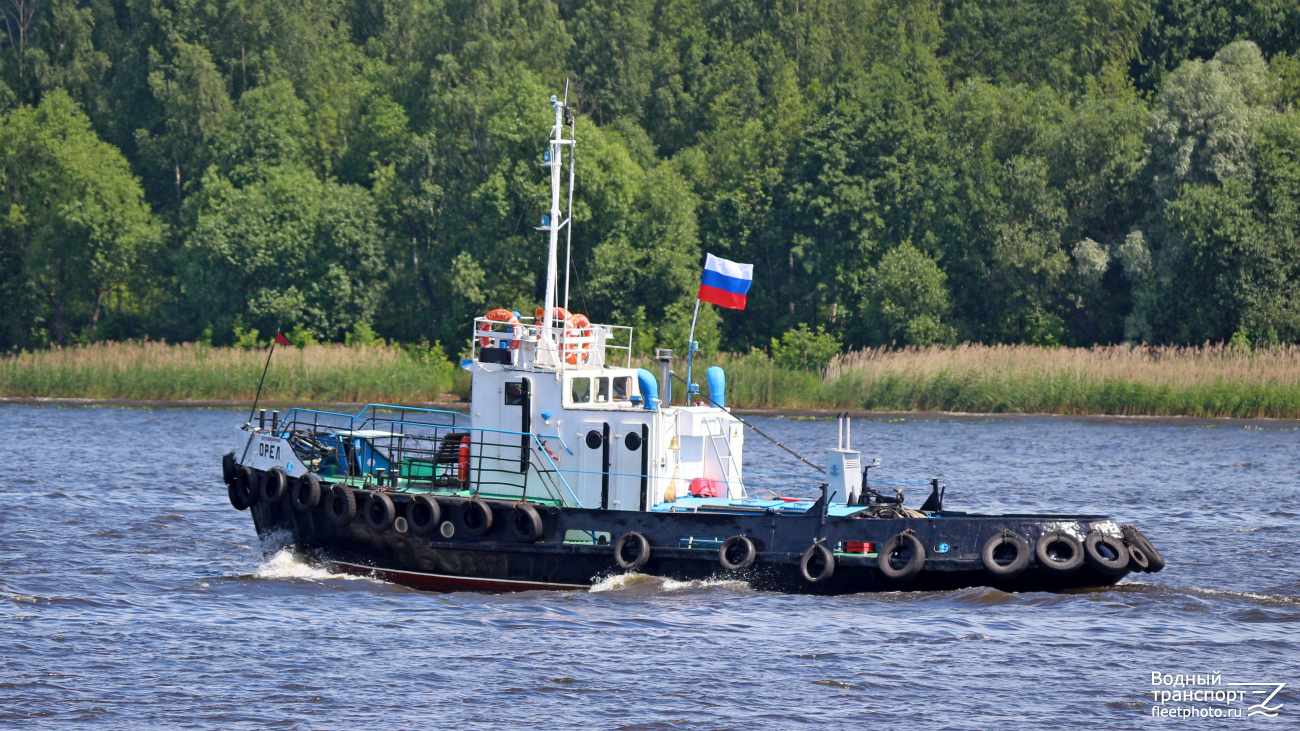 Орёл