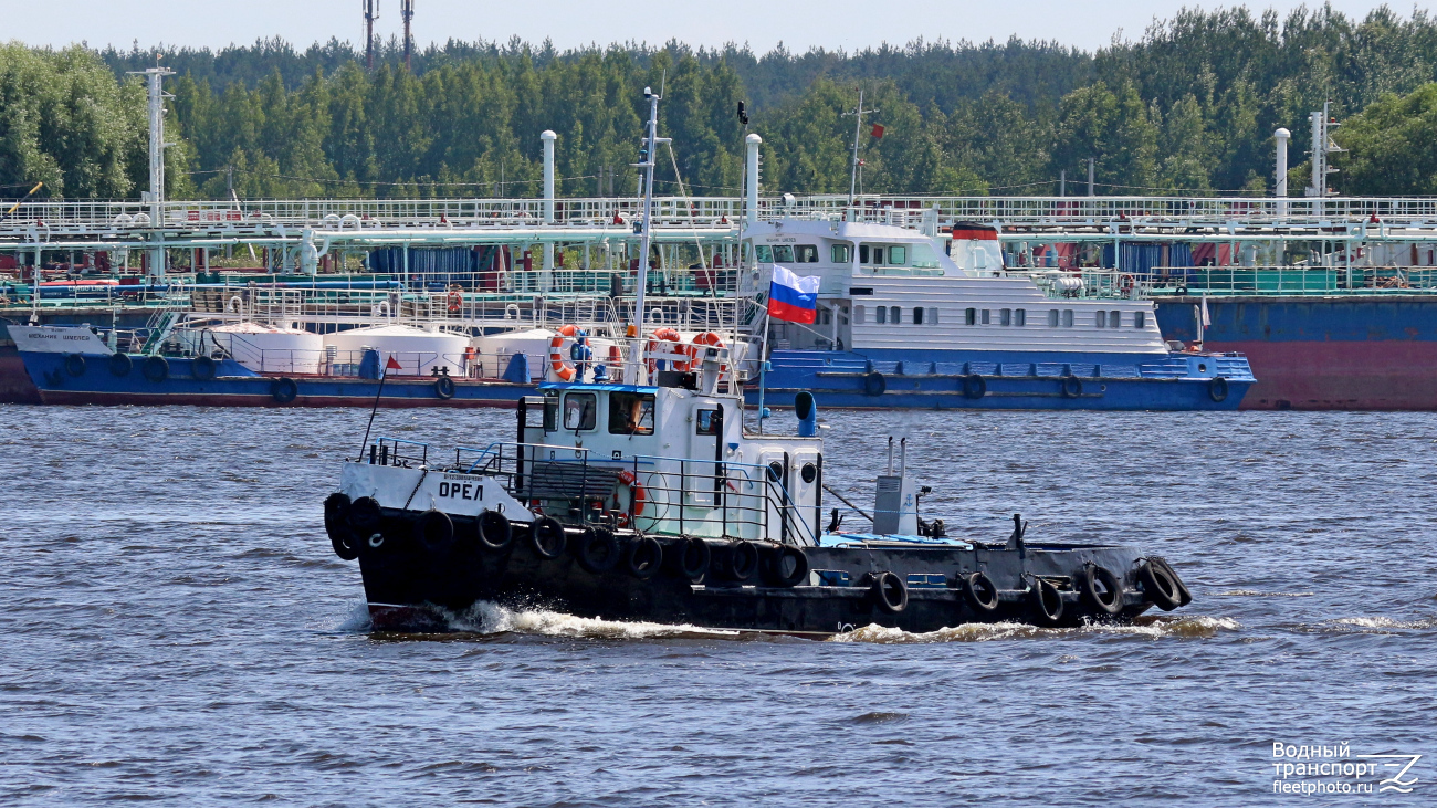 Орёл