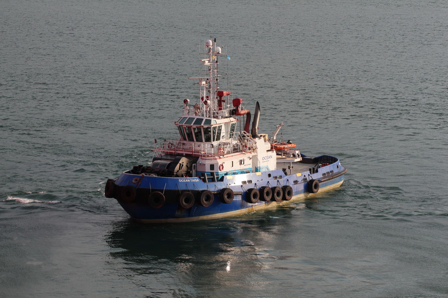 Ocean Taiga