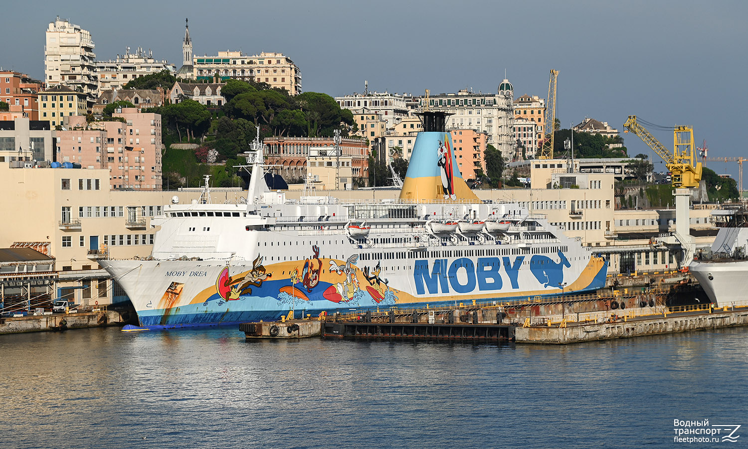 Moby Drea