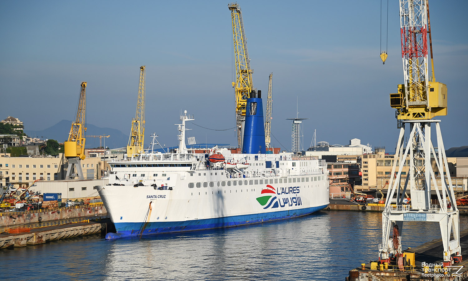Santa Cruz