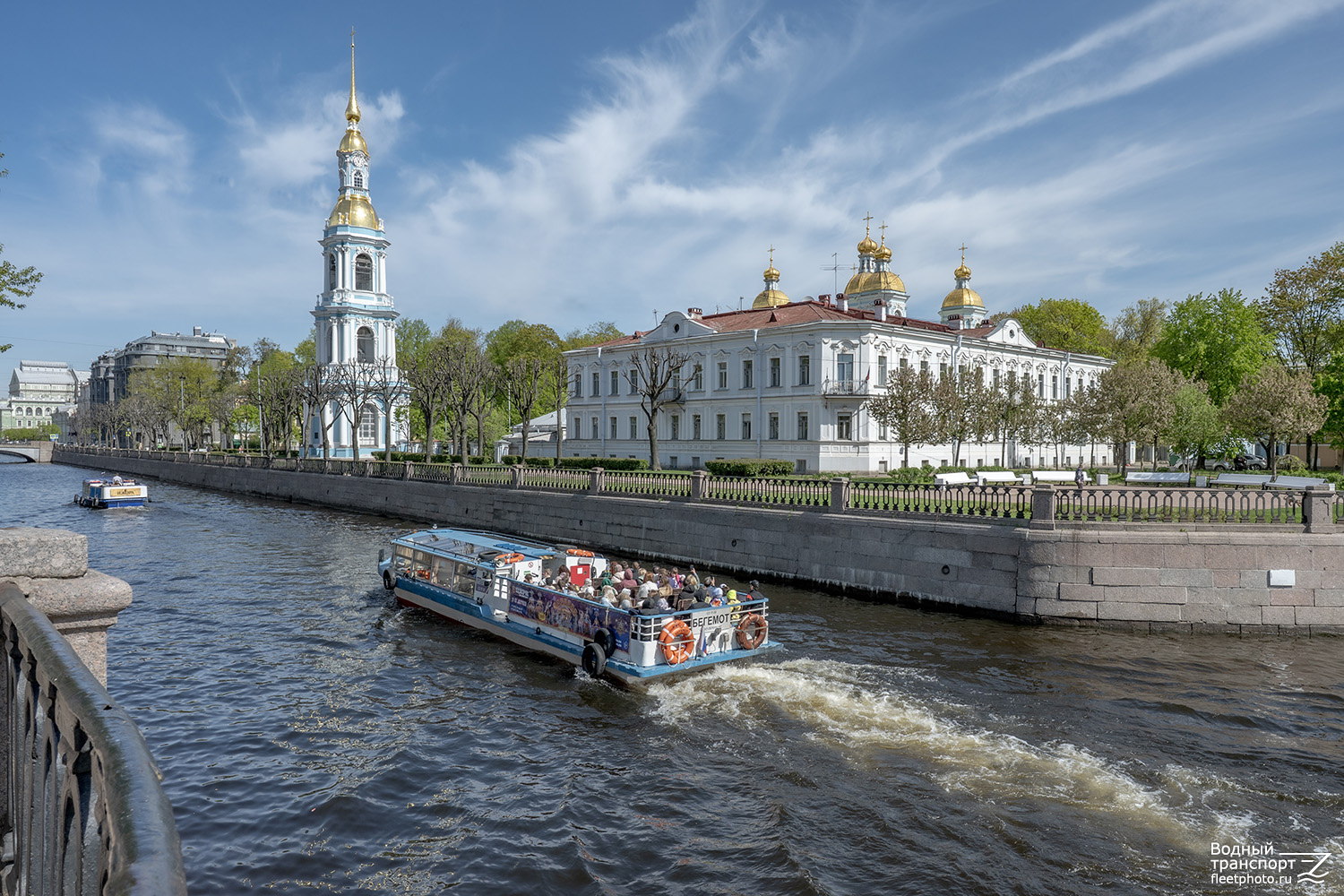Бегемот