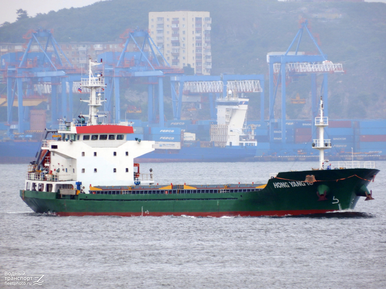 Hong Yang 18