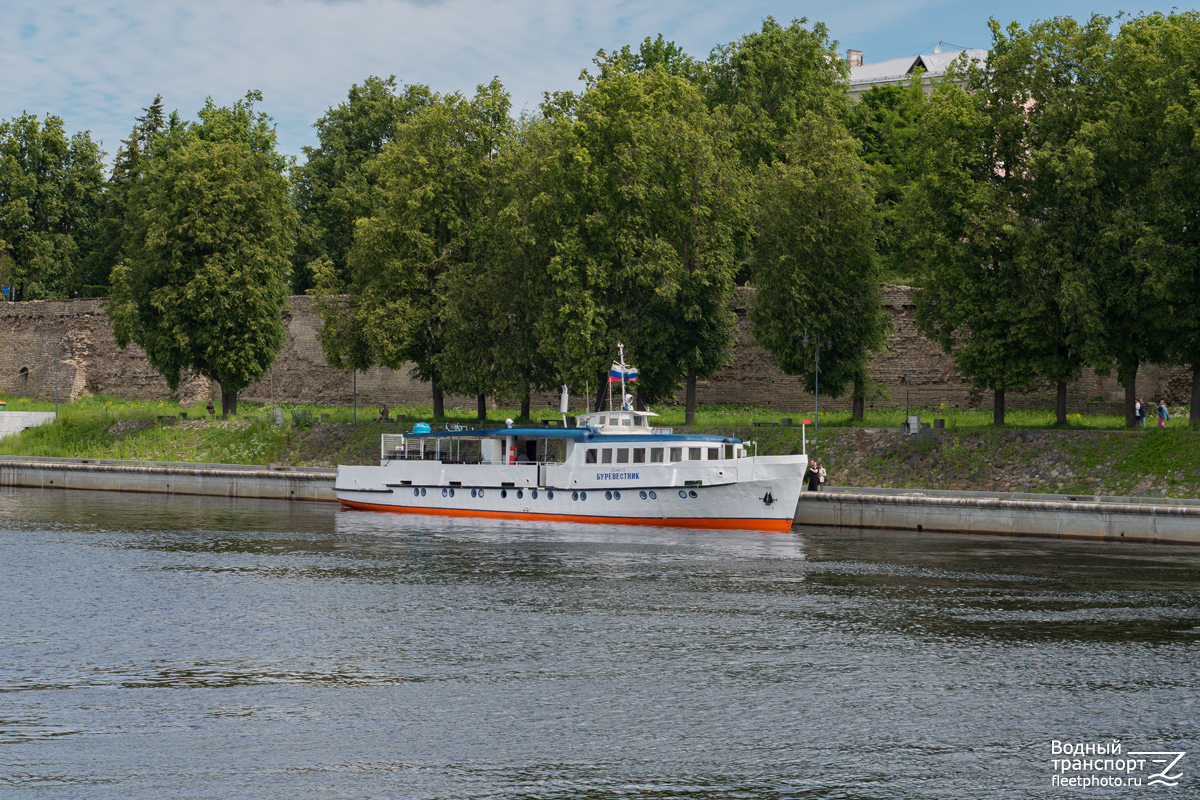 Буревестник