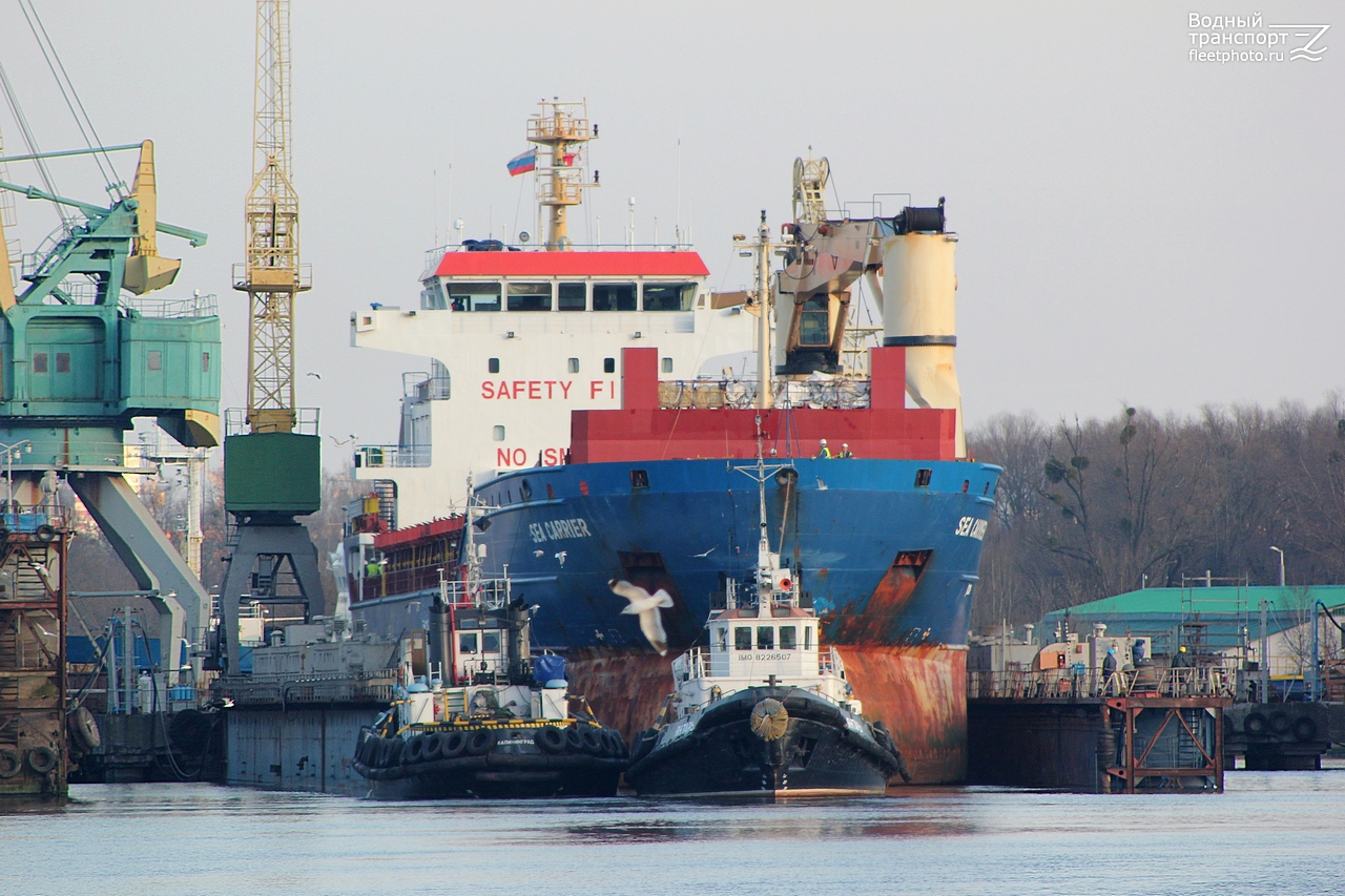 Минотавр, Янтарь, Sea Carrier, ПД-430