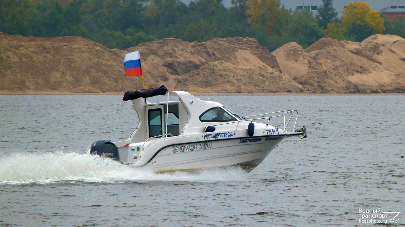 РЯУ 01-18