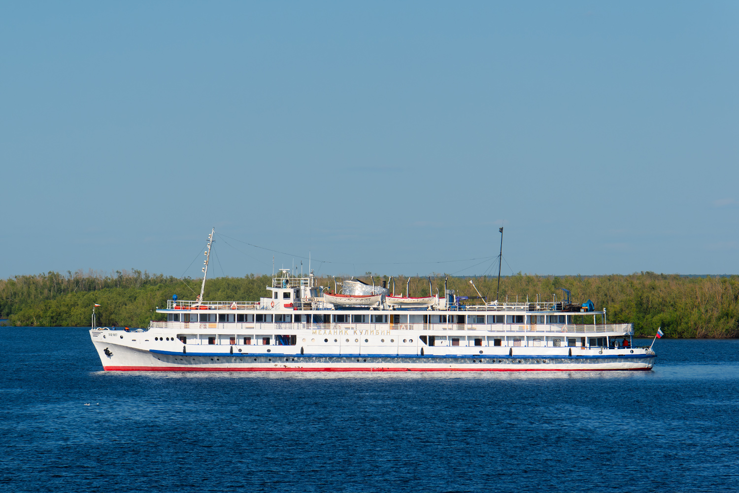 Механик Кулибин