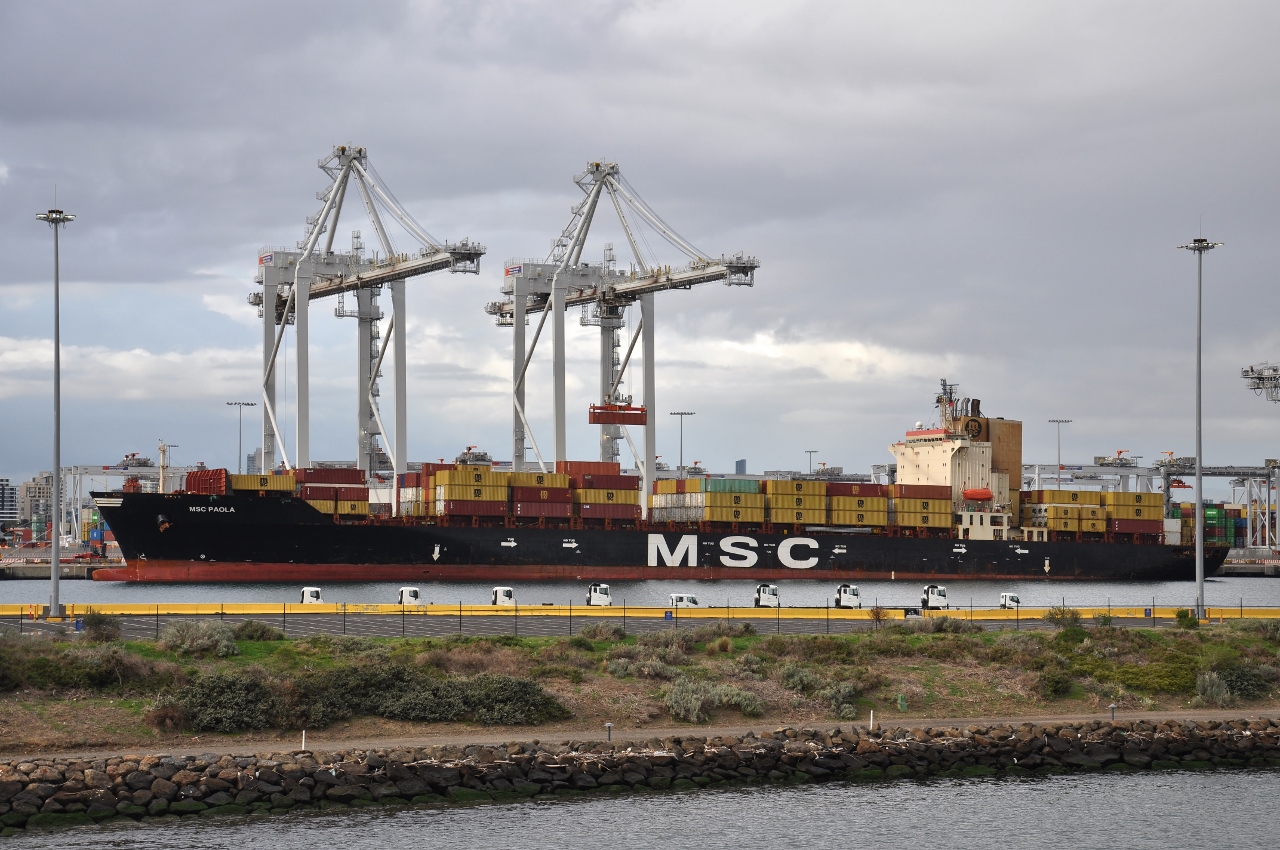 MSC Paola
