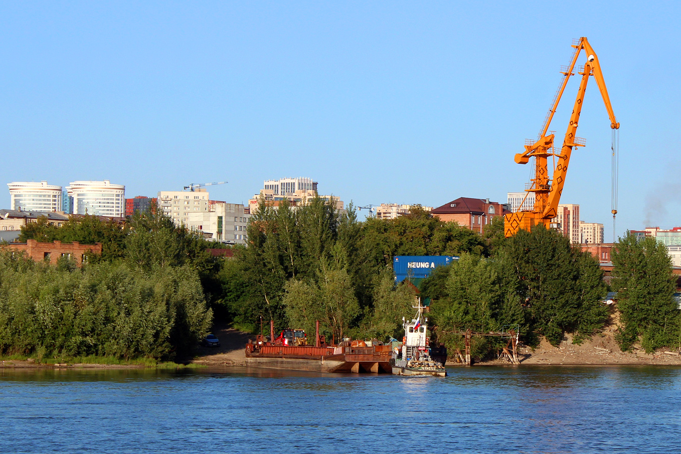569, Лесник