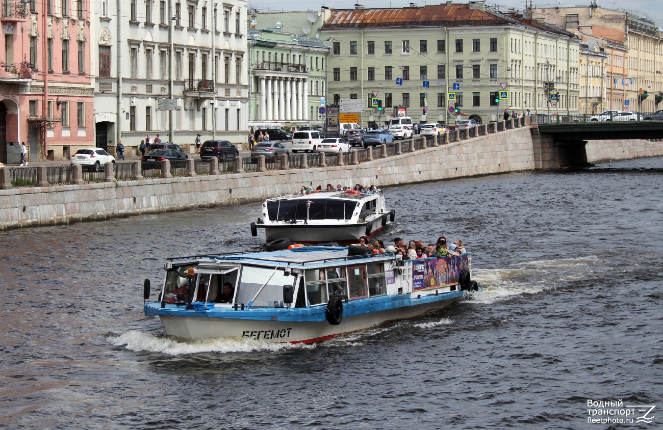 Бегемот, Галактика