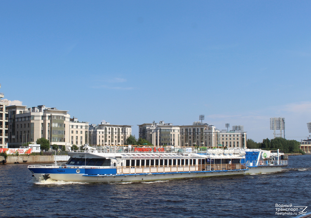 Чайка