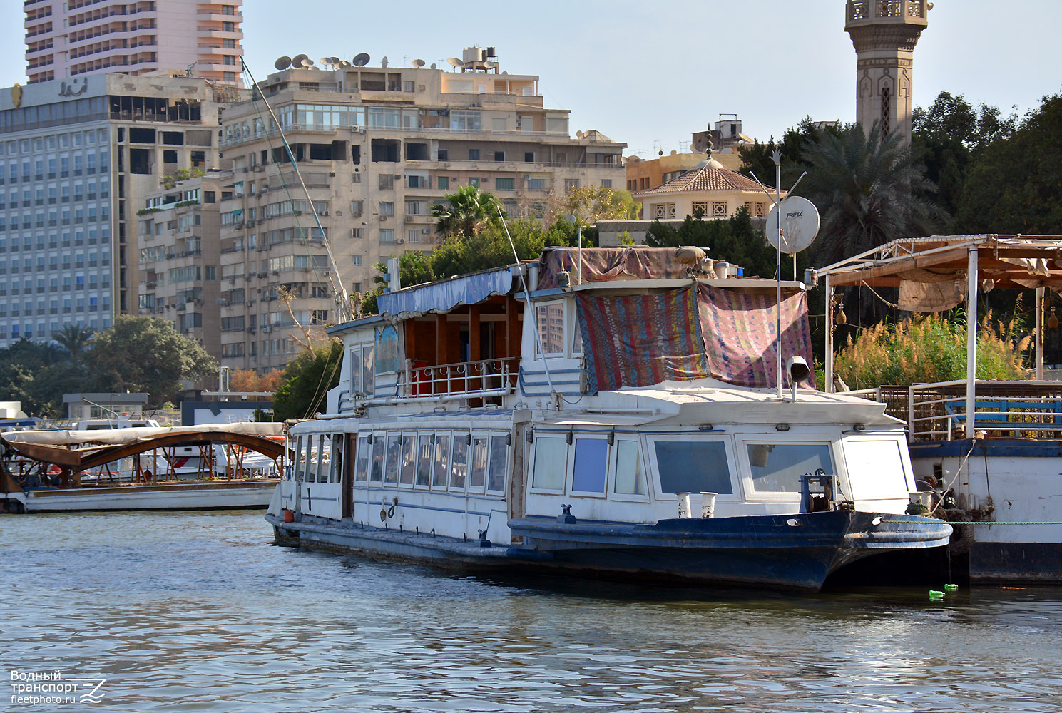 Nile Bird