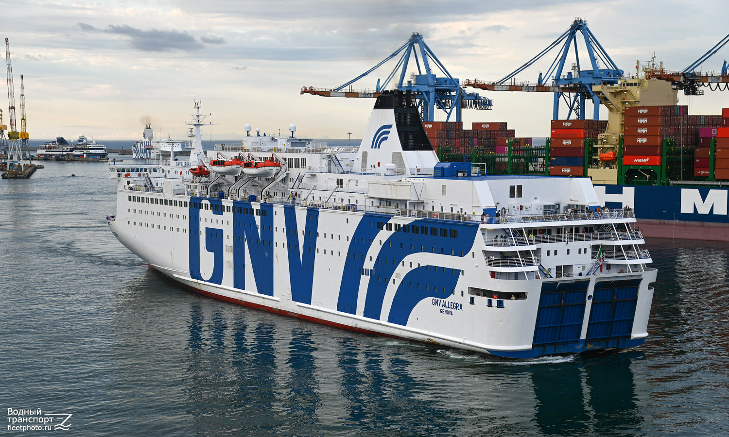 GNV Allegra