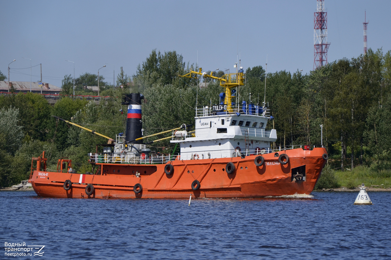 Тюлень-10