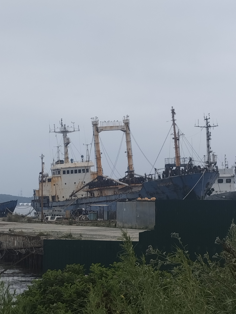 Афина