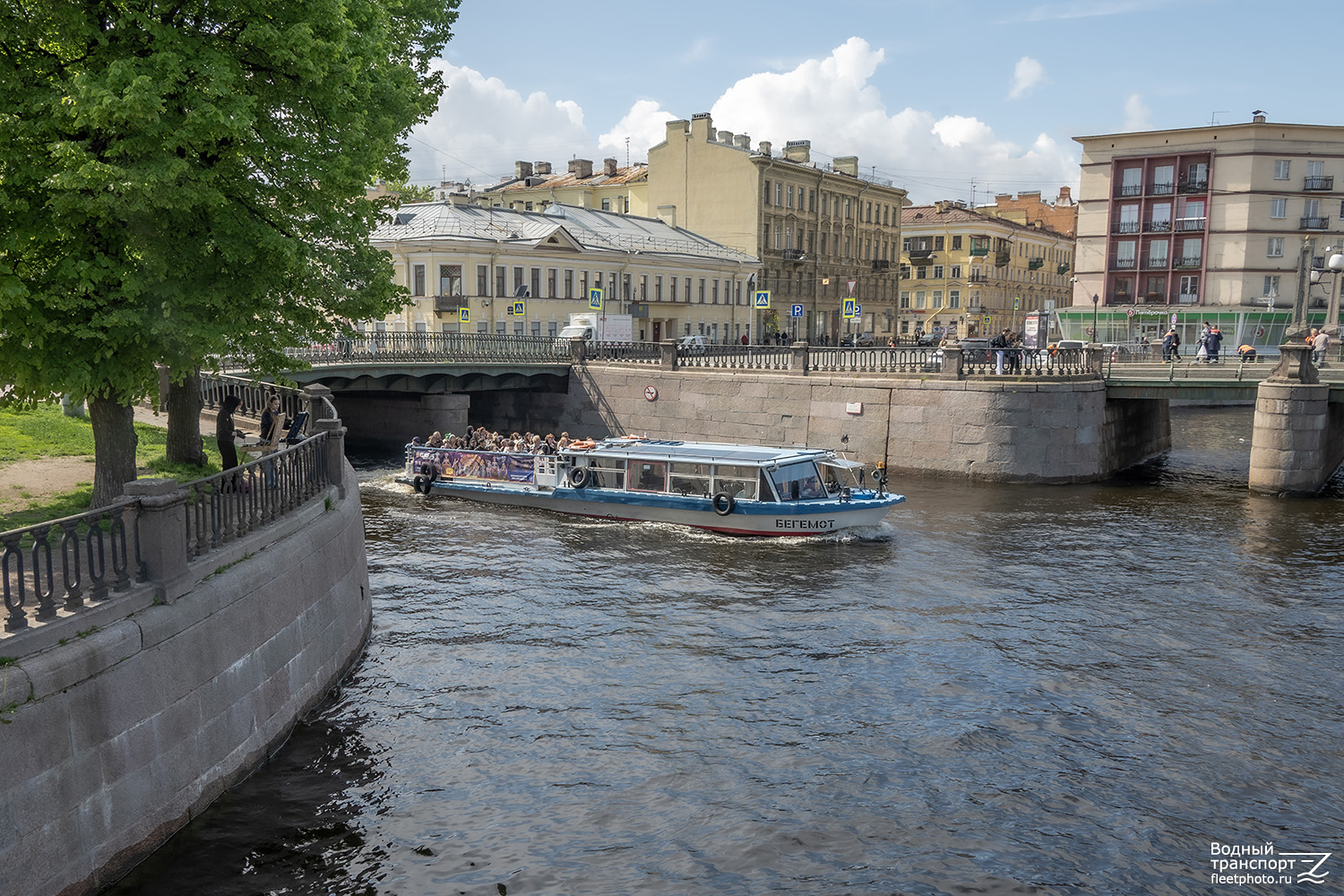 Бегемот